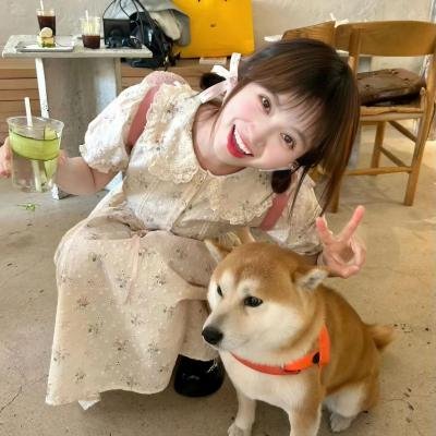 加菲猫和他的朋友们第一季